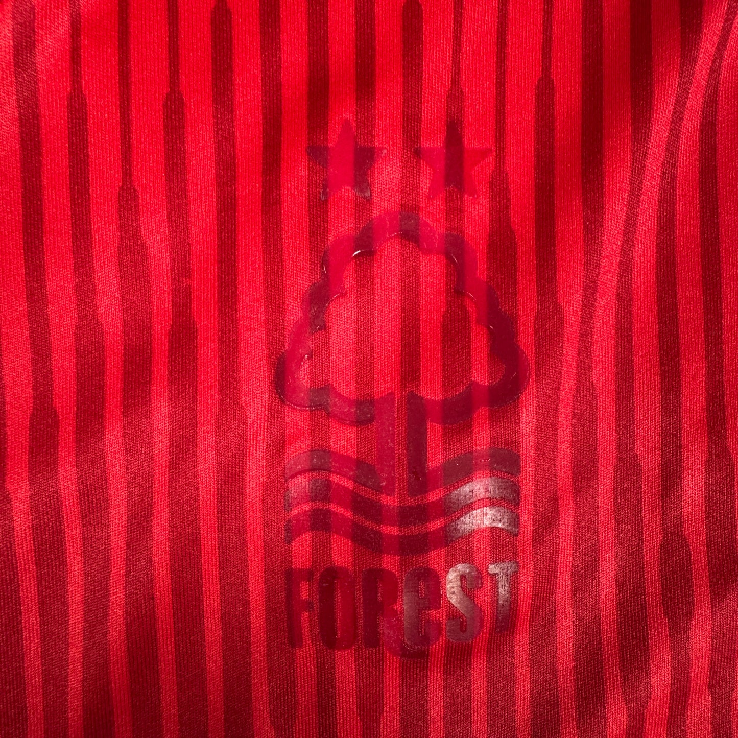 Nottingham Forest 2019/2020 Home Football Shirt Large – Football Shirt Kingdom