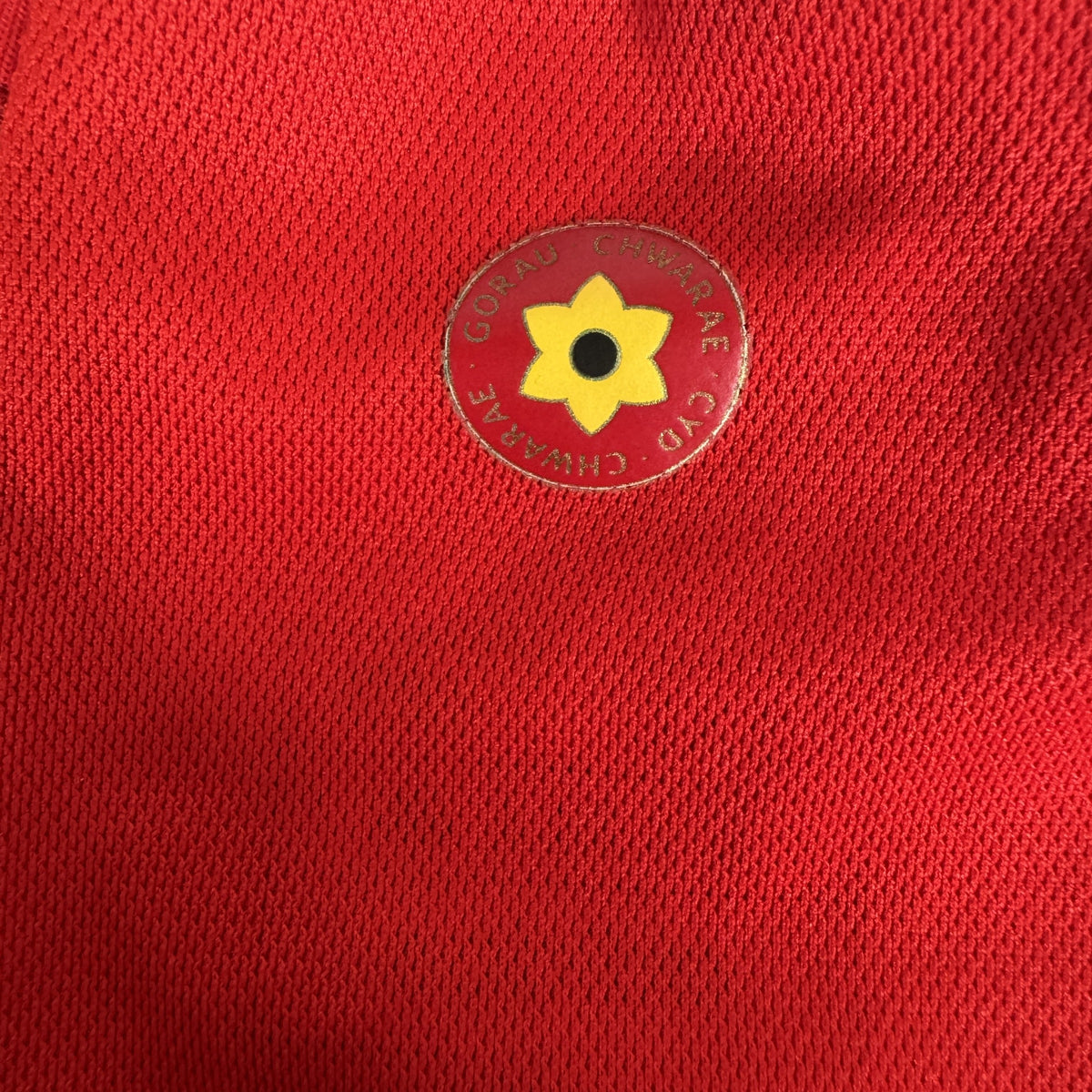Wales 2022/2023/2024 home football shirt, size 3XL