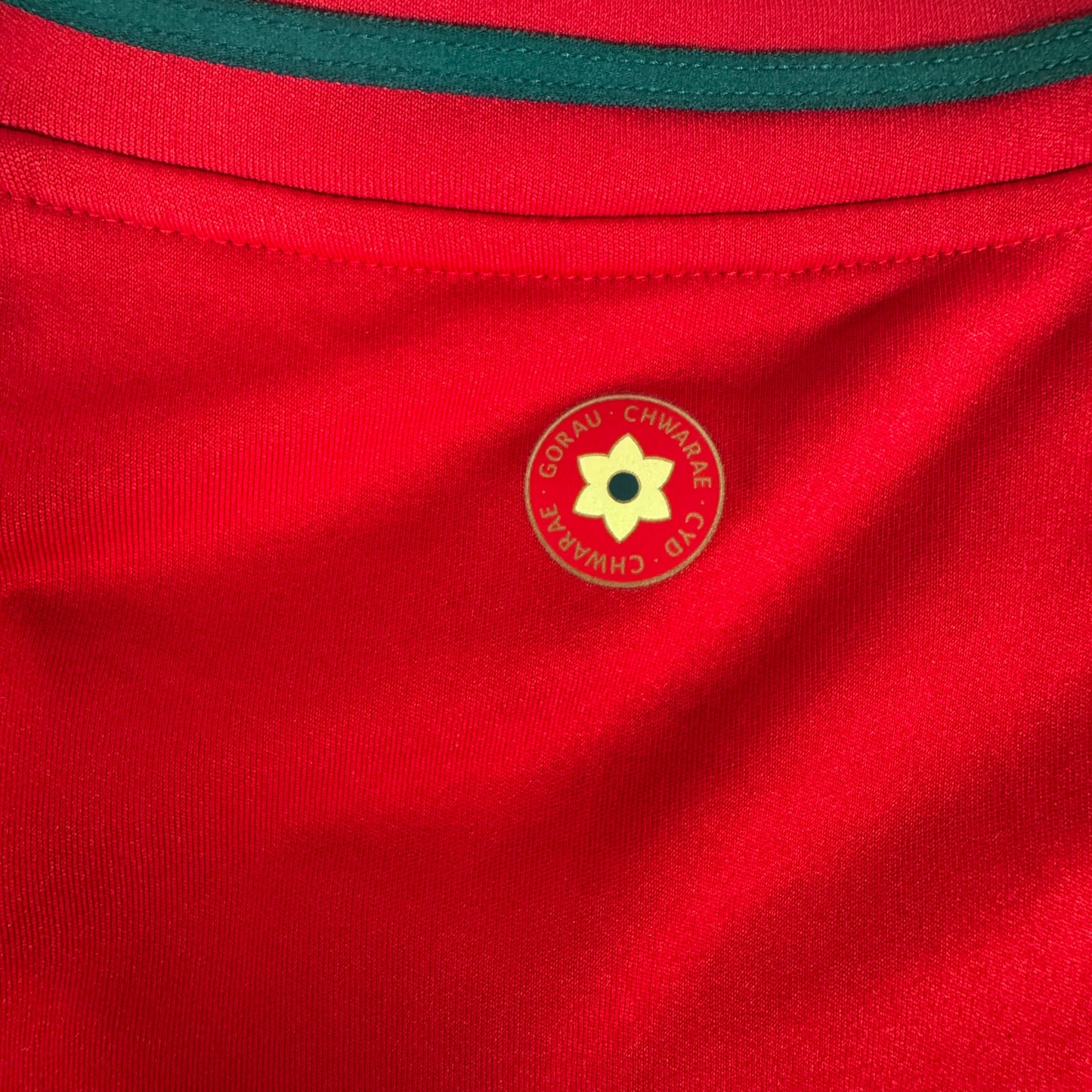 Wales 2024/2025/2026 Home Football Shirt 2XL – Football Shirt Kingdom