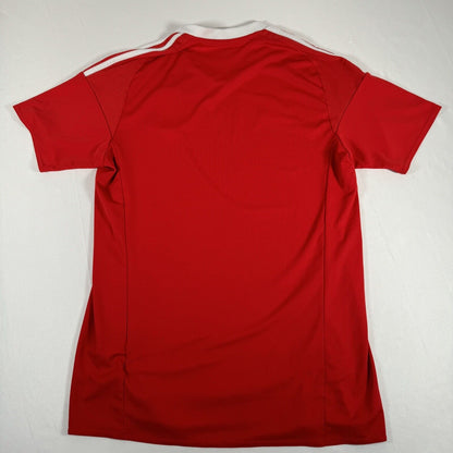 Wales 2016/2017/2018 Home Football Shirt Men’s Medium — full back view