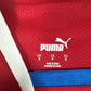 Czech Republic 2022/2023/2024 Home Football Shirt  Small