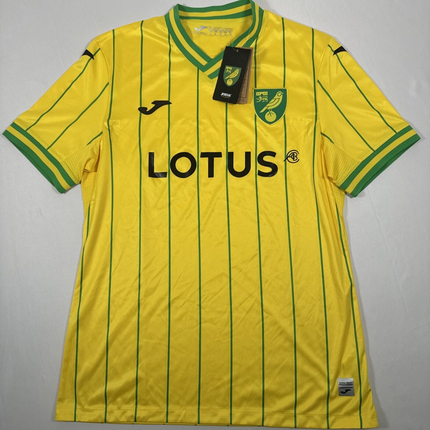 Norwich City 2022/2023 Home Football Shirt  BNWT Large