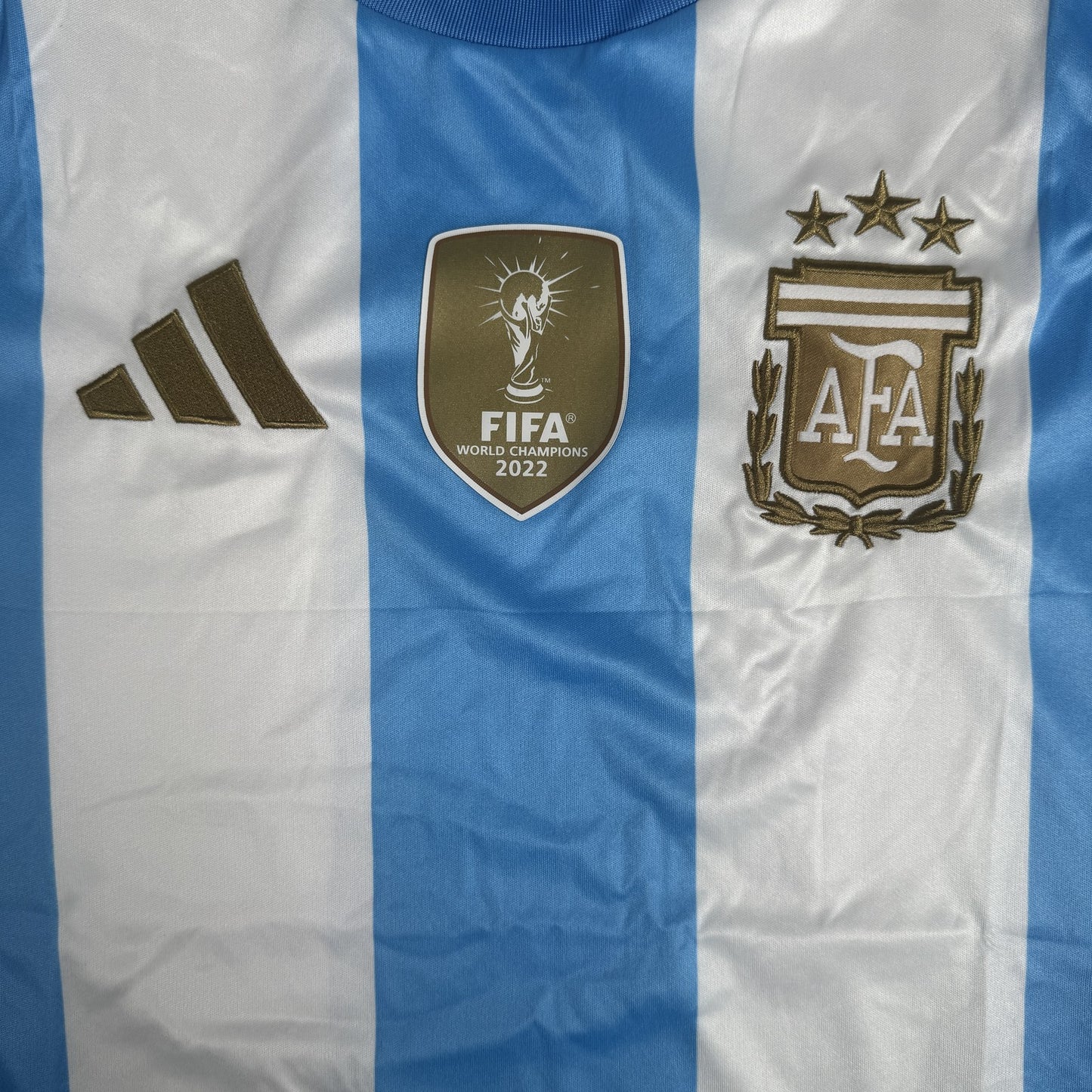 Argentina 2024/2025 Home Football Shirt  Small