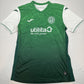 Hibernian 2021/2022 Home Football Shirt   XL