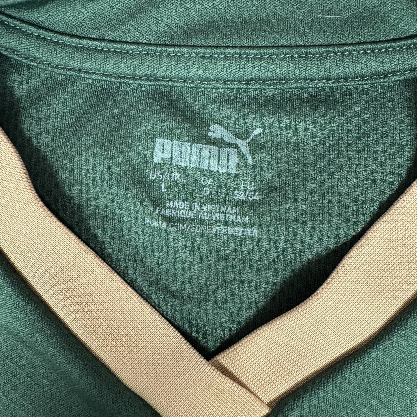 Plymouth Argyle 2023/2024 Home Football Shirt  Large