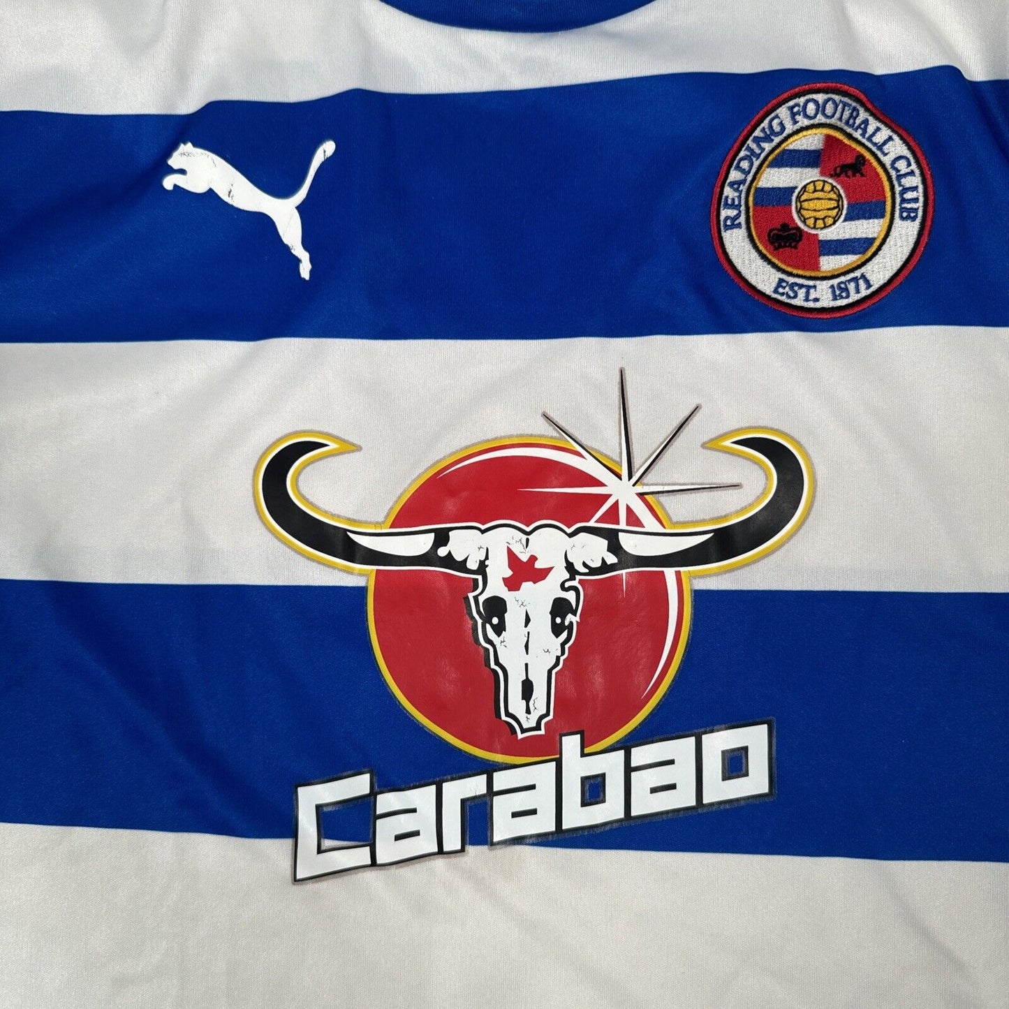 Reading 2015/2016 Home Football Shirt  Medium - Football Shirt Kingdom