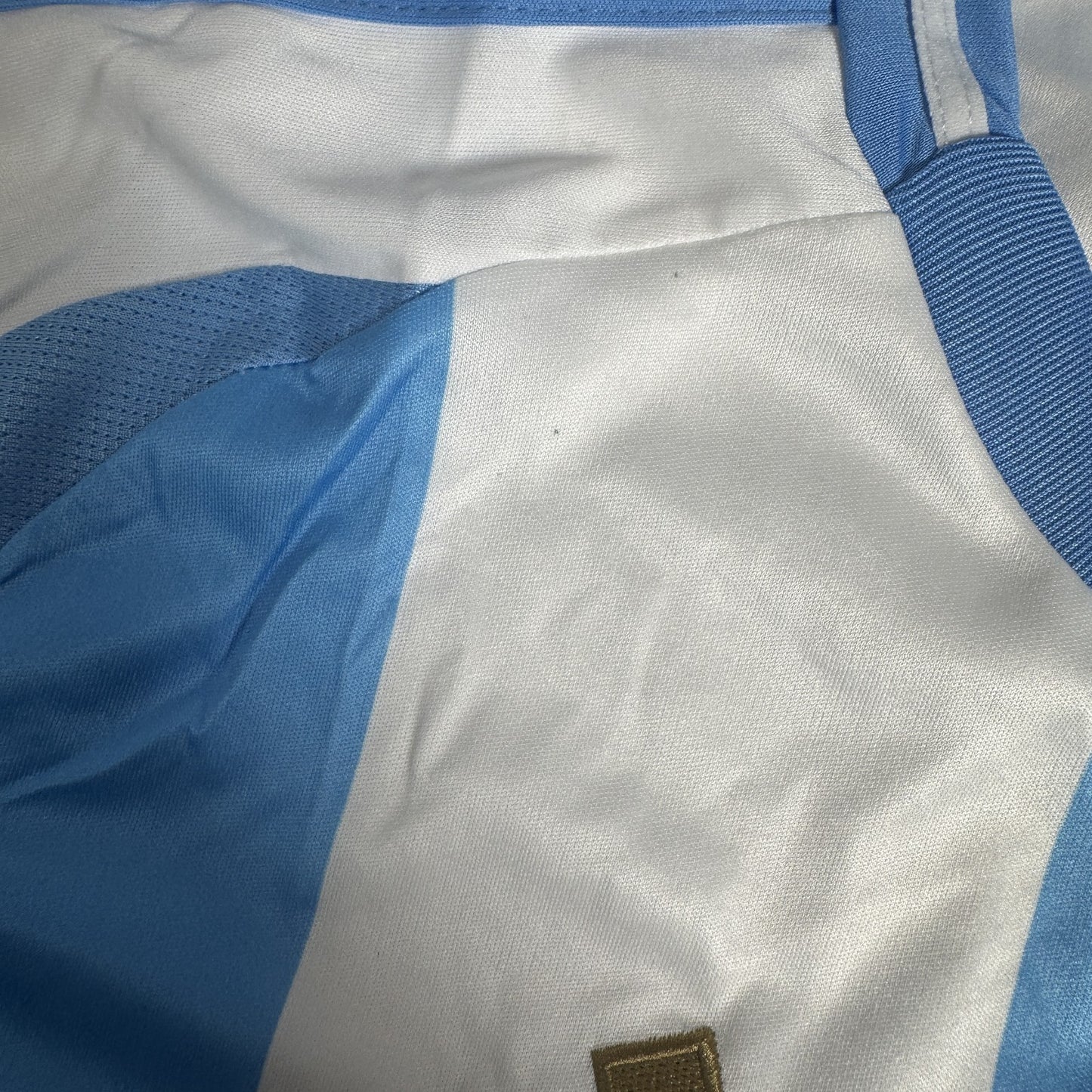 Argentina 2024/2025 Home Football Shirt  Small