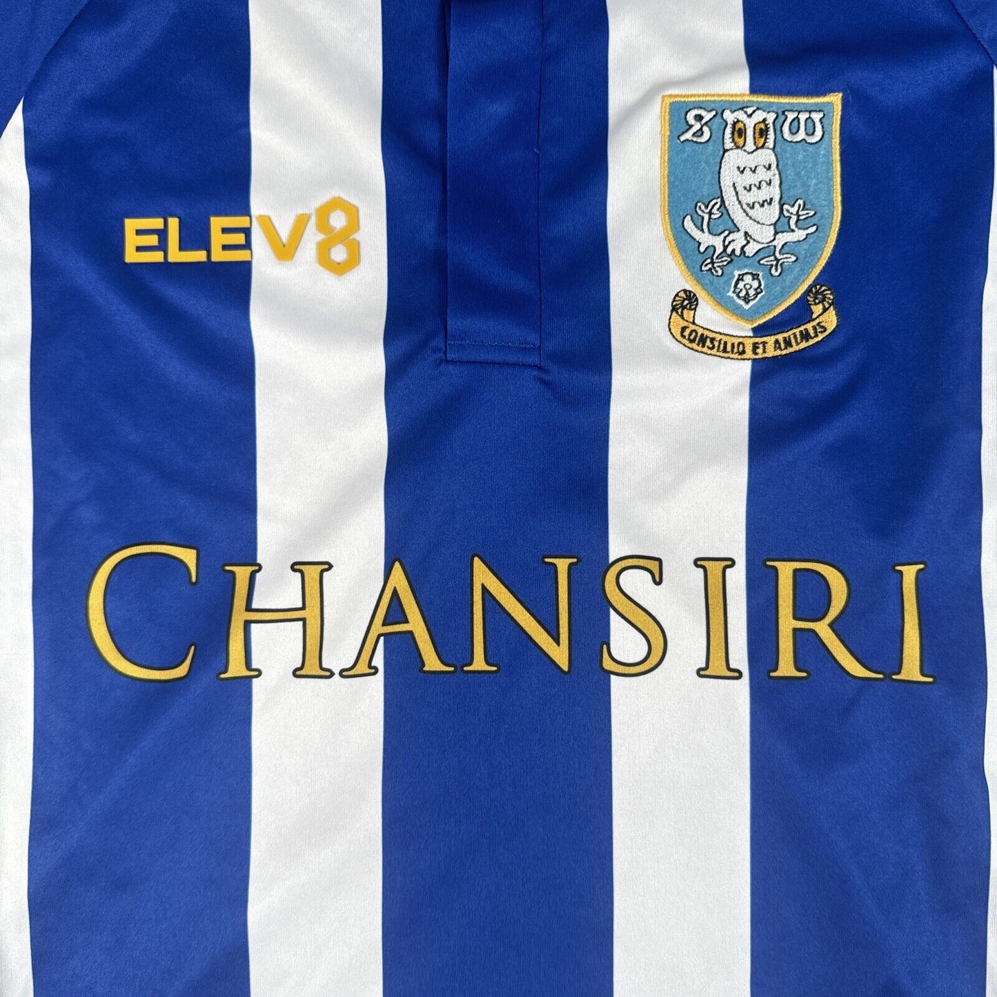 Sheffield Wednesday 2018/2019 Home Football Shirt  Medium