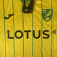 Norwich City 2023/2024 Home Football Shirt  BNWT Medium