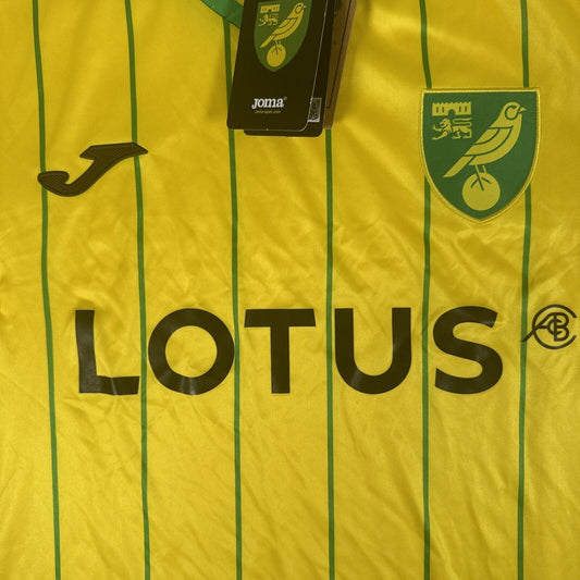 Norwich City 2023/2024 Home Football Shirt  BNWT Medium