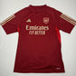 Arsenal 2023/2024 Training Football Shirt  Men’s Medium