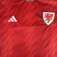 Wales 2022/2023/2024 Home Football Shirt  Medium