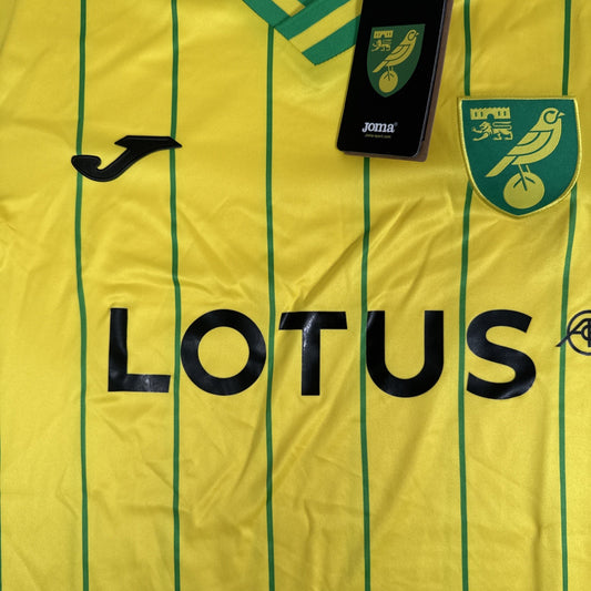 Norwich City 2022/2023 Home Football Shirt  BNWT Large - Football Shirt Kingdom