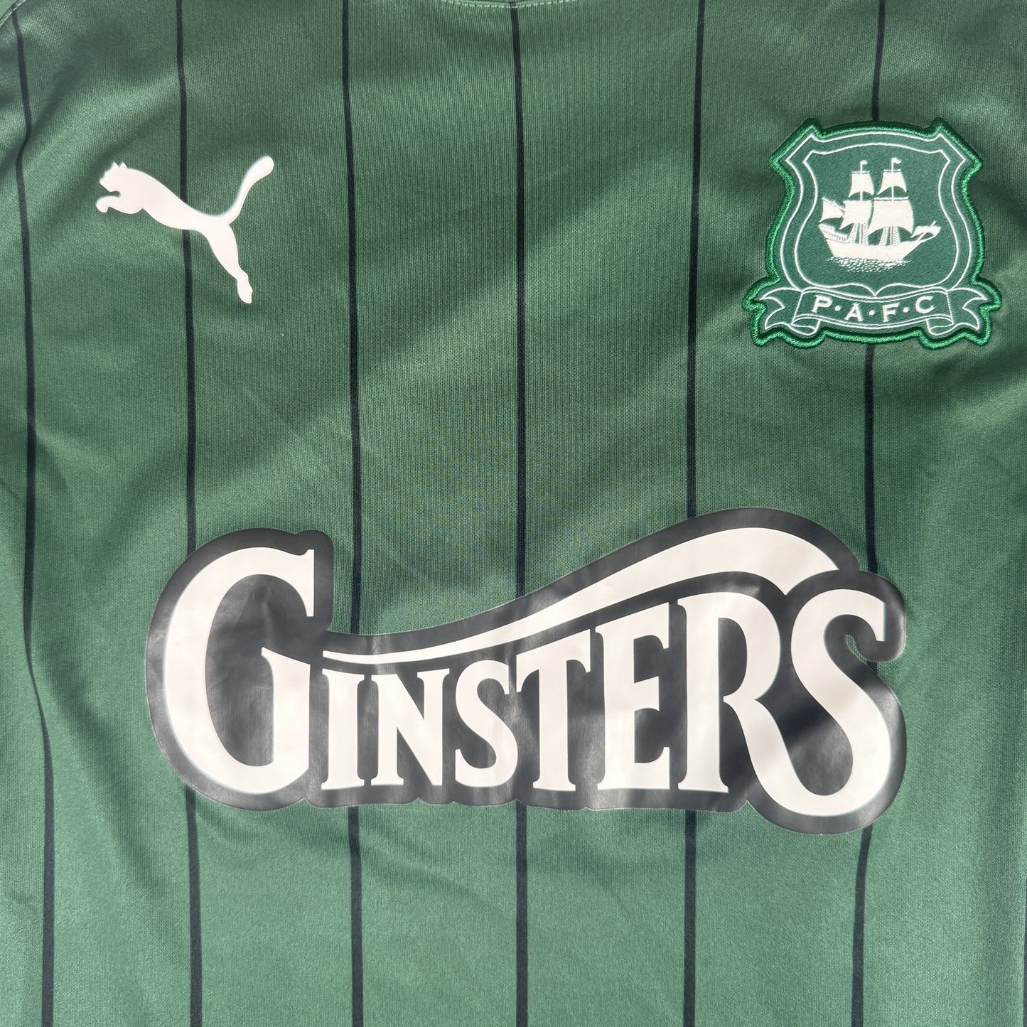 Plymouth Argyle 2021/2022 Home Football Shirt  Medium
