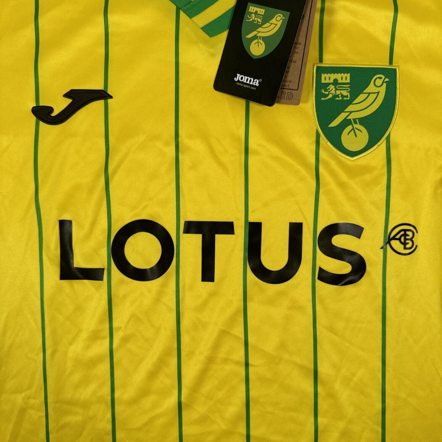 Norwich City 2022/2023 Home Football Shirt  BNWT Large