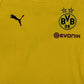 Borussia Dortmund 2018/2019 Training Football Shirt  Men’s Small - Football Shirt Kingdom