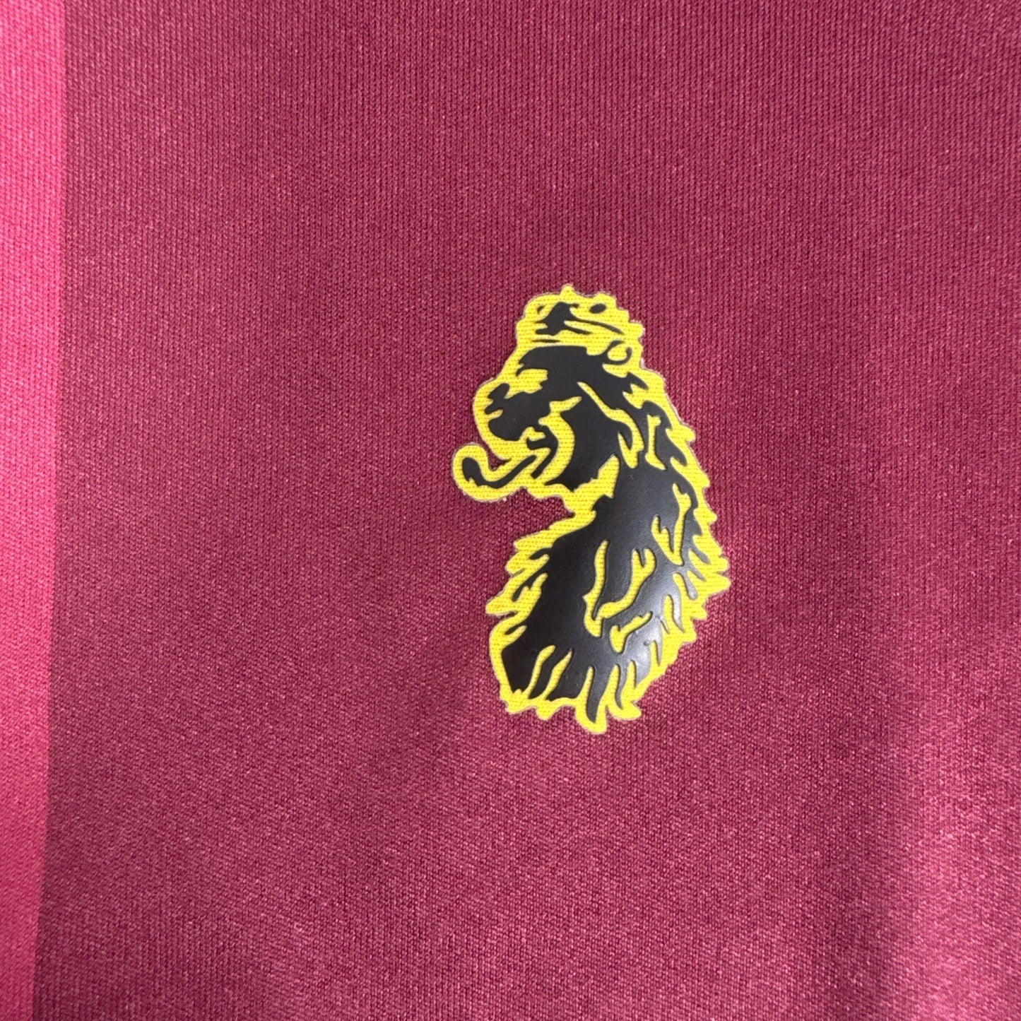 aston villa 2018 2019 promotion home football shirt medium5