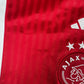 Ajax 2023/2024 Home Football Shirt Large – Football Shirt Kingdom