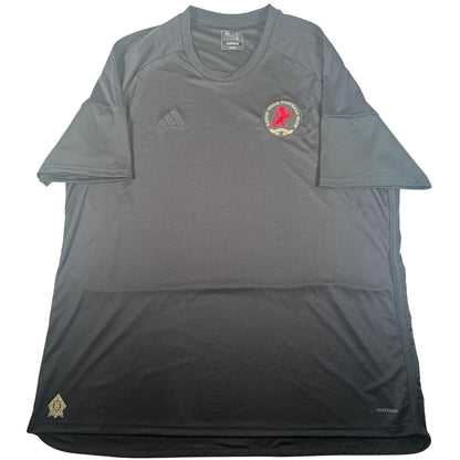 Front of Aston Villa 2024/2025 fourth football shirt, size 3XL