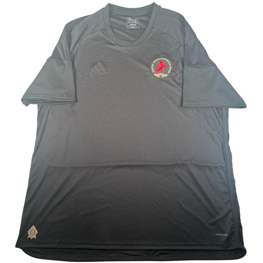 Front of Aston Villa 2024/2025 fourth football shirt, size 3XL
