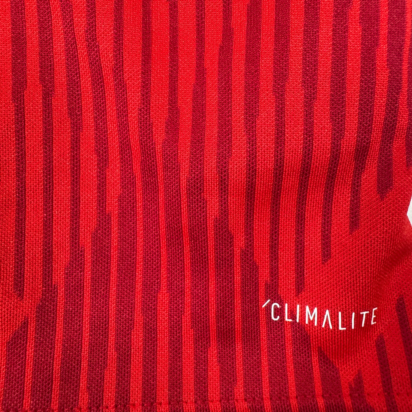 Bayern Munich 2018/2019 Home Football Shirt Large – Football Shirt Kingdom