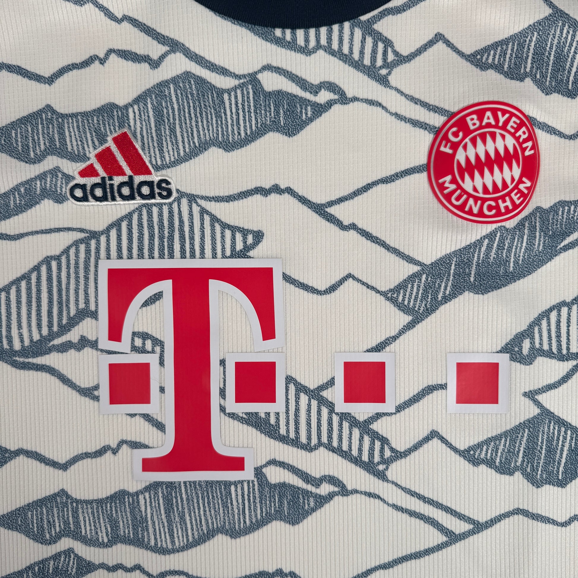 Bayern Munich 2021/2022 Third Football Shirt Small – Football Shirt Kingdom