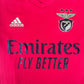 Benfica 2020/2021 Home Football Shirt Small – Football Shirt Kingdom