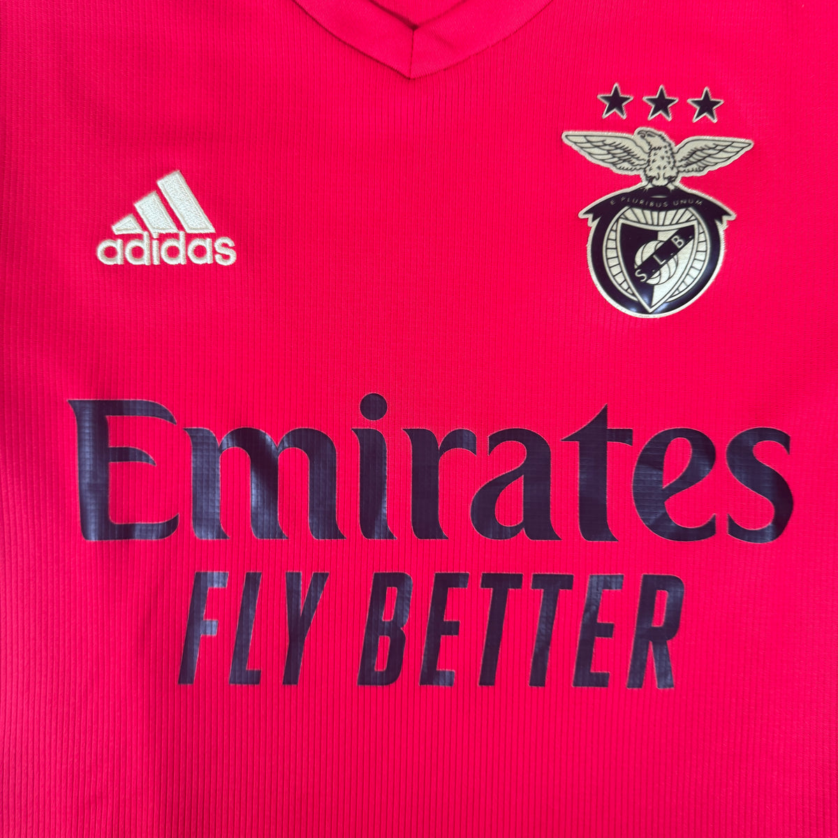 Benfica 2020/2021 Home Football Shirt Small – Football Shirt Kingdom