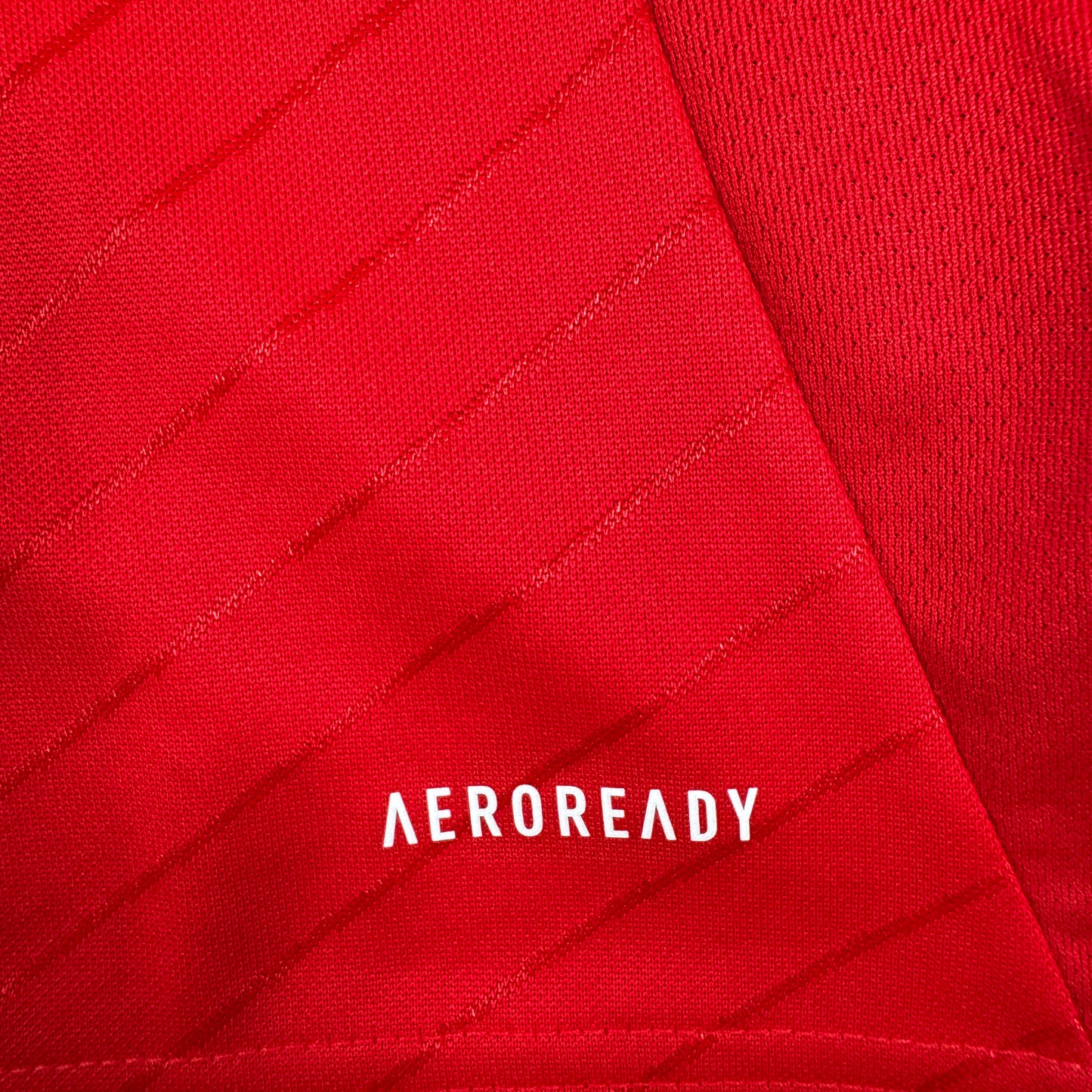 Benfica 2024/2025 Home Football Shirt Large BNWT – Football Shirt Kingdom