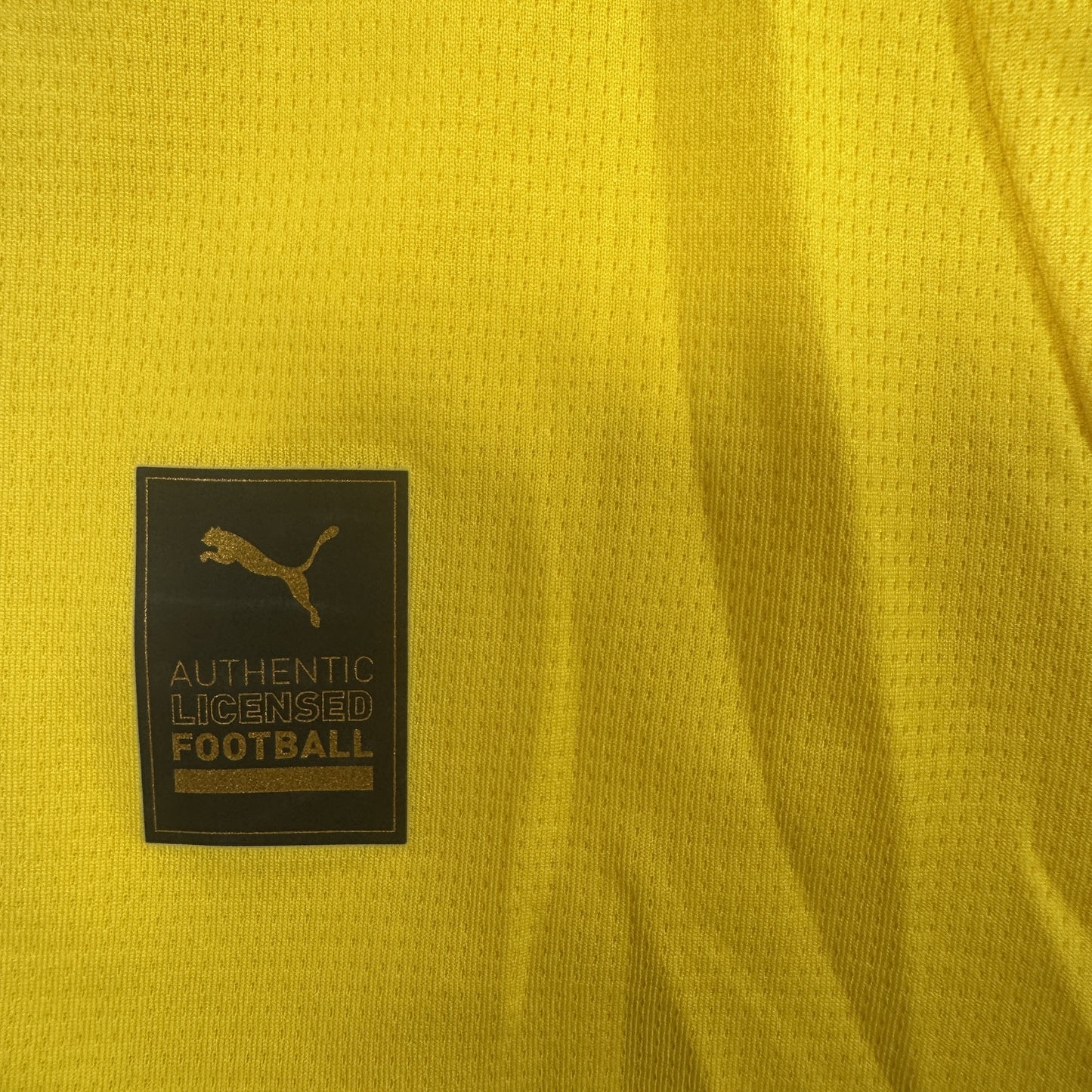 Borussia Dortmund 2024/2025 Home Football Shirt 4XL