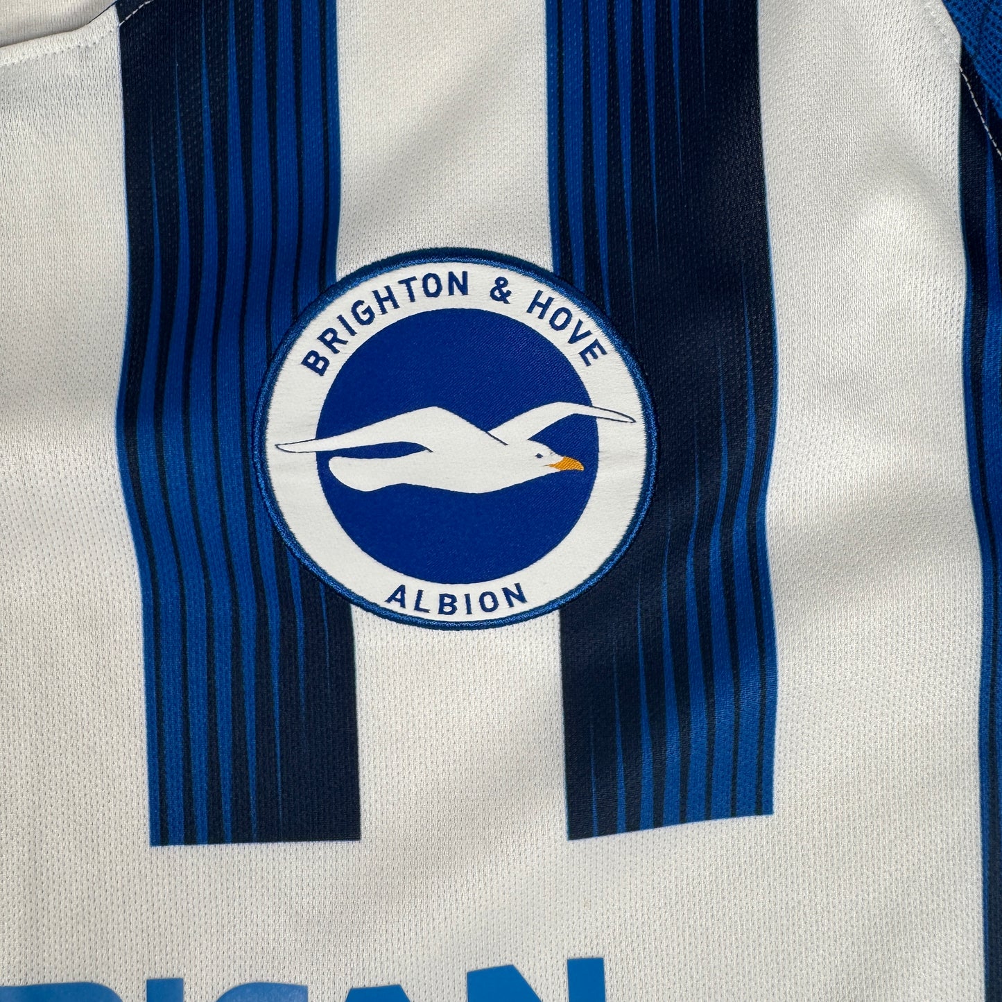 Brighton & Hove Albion 2019/2020 Home Football Shirt XL – Football Shirt Kingdom