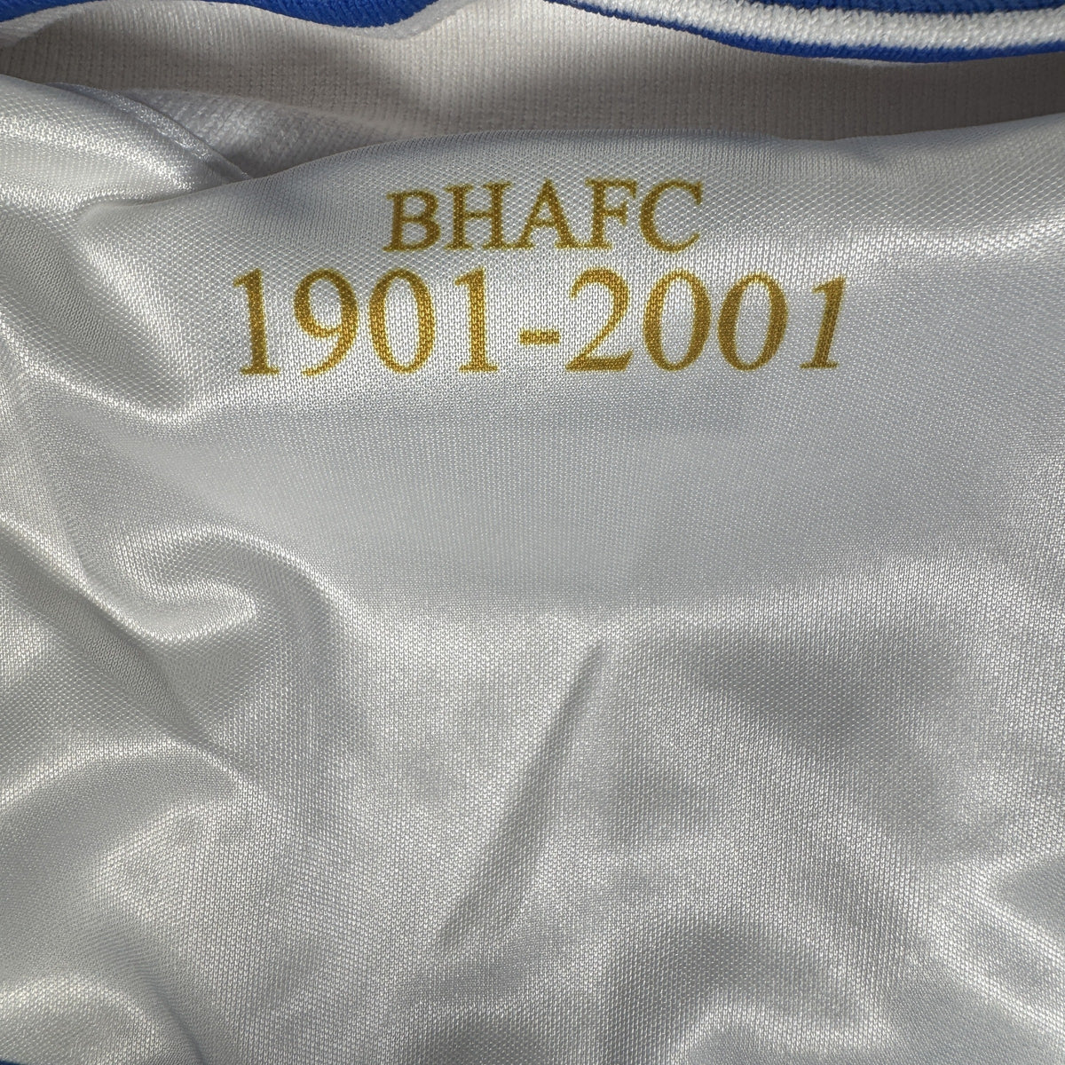 Brighton & Hove Albion 2000/2001/2002 Home Football Shirt Large