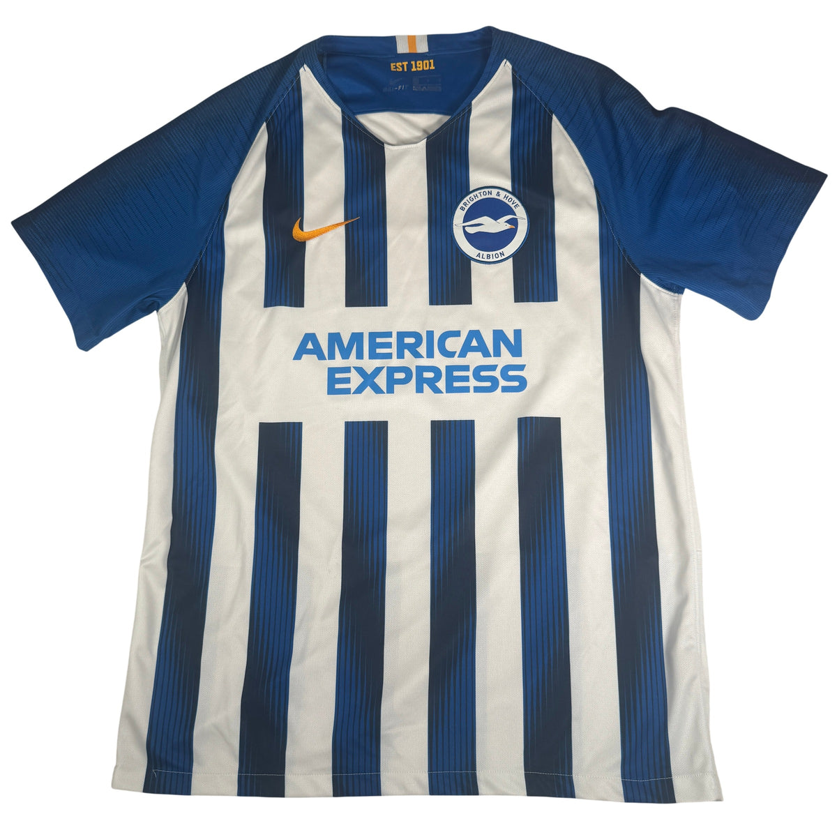 Brighton & Hove Albion 2019/2020 Home Football Shirt Large
