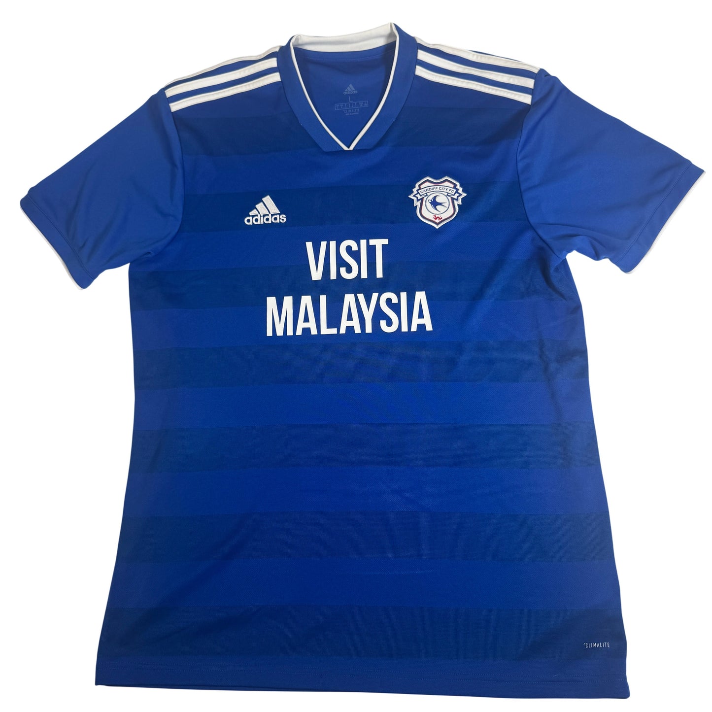 Cardiff City 2018/2019 Home Football Shirt Large