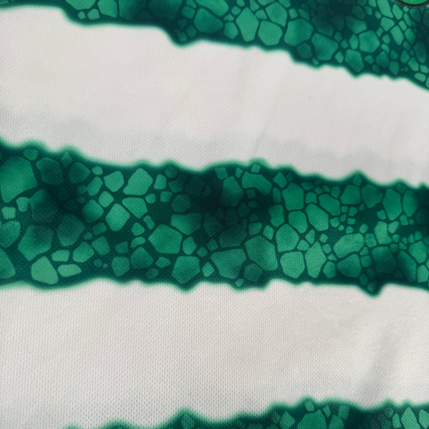 Celtic 2023/2024 Home Sponsorless Football Shirt Large – Football Shirt Kingdom
