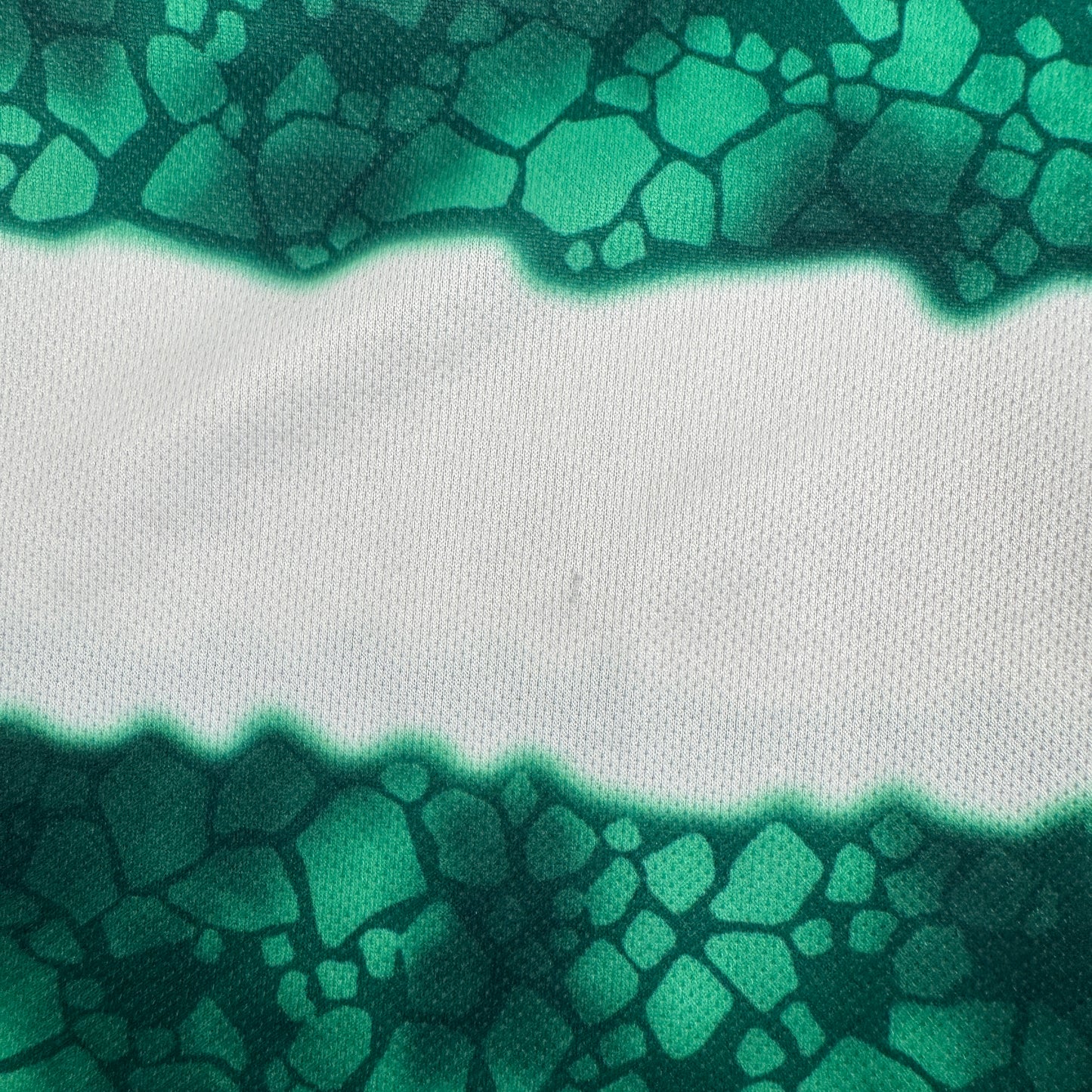 Celtic 2023/2024 Home Sponsorless Football Shirt Large – Football Shirt Kingdom