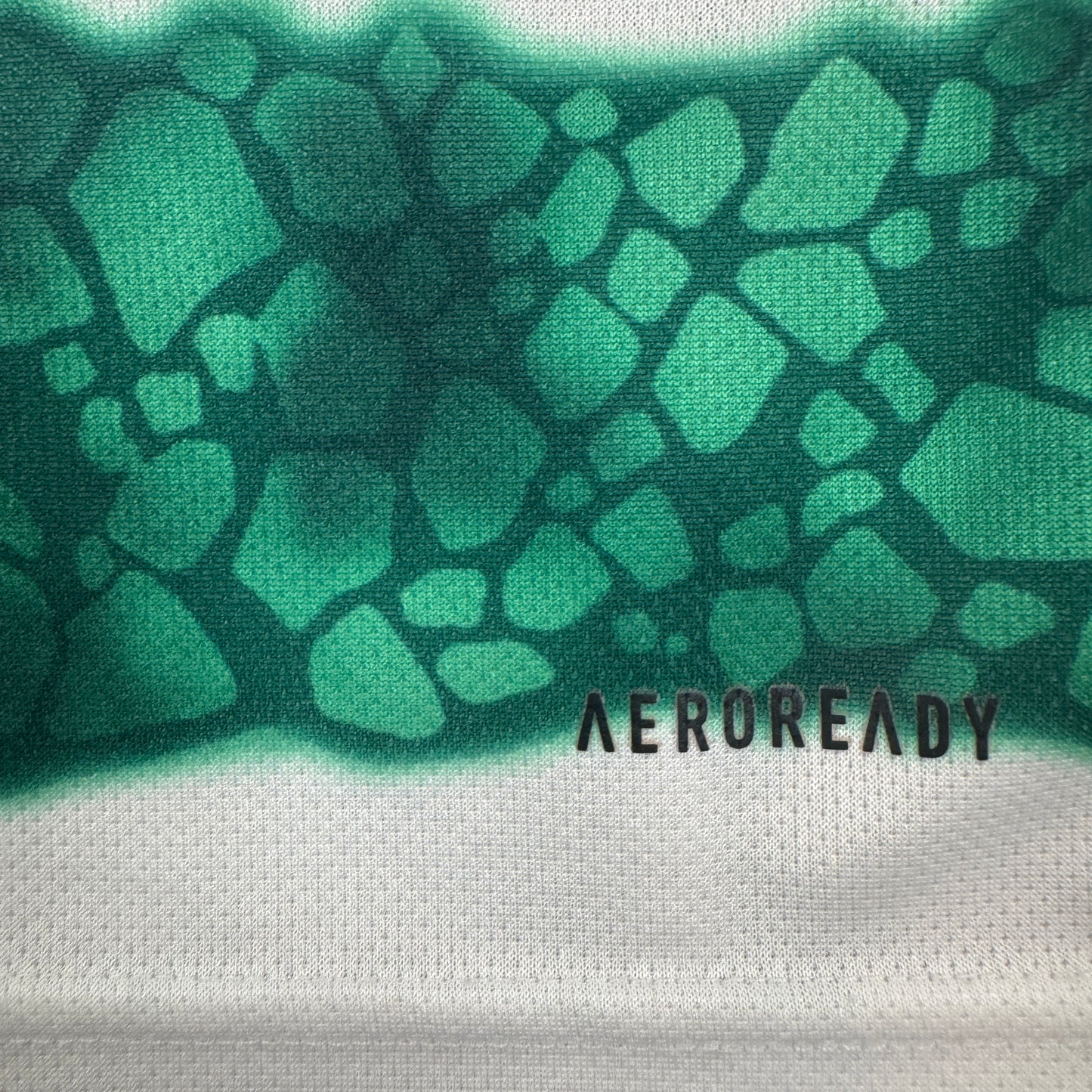 Celtic 2023/2024 Home Sponsorless Football Shirt Large – Football Shirt Kingdom