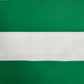 Celtic 2024/2025 Home Football Shirt Medium – Football Shirt Kingdom