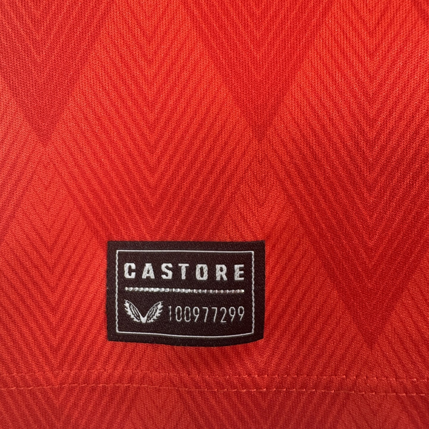 Charlton Athletic 2022/2023 Home Football Shirt Large