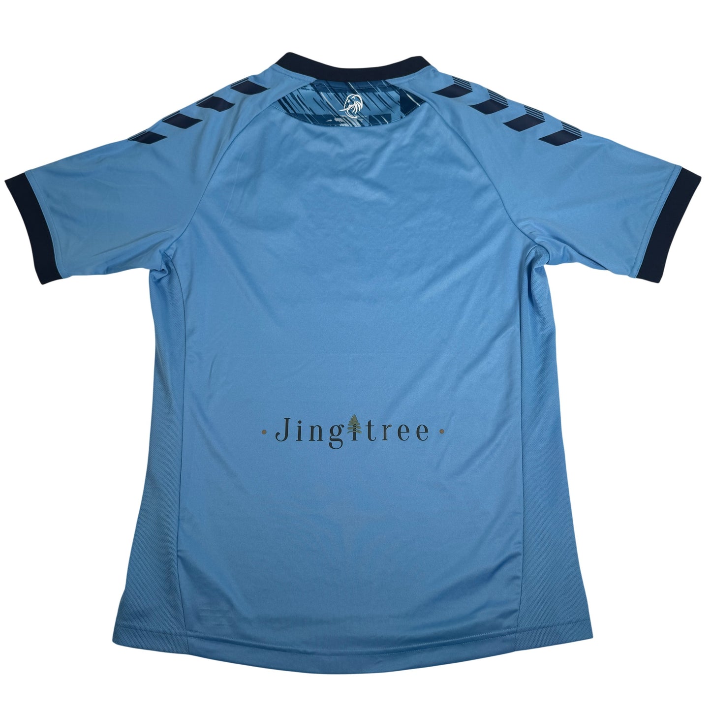 Coventry City 2020/2021 Home Football Shirt Large