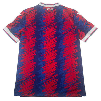Crystal Palace 2022/2023 Home Football Shirt Large — full back view