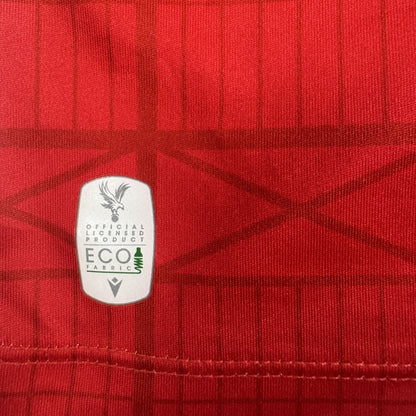 Eze 10 Crystal Palace 2023/2024 Home Football Shirt Large