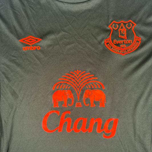 Everton 2015/2016 Third Long Sleeve Football Shirt Large – Football Shirt Kingdom