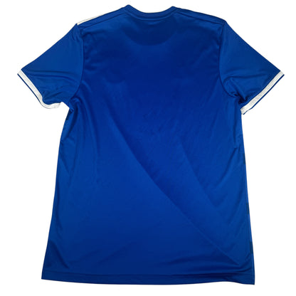 Ipswich Town 2019/2020 Home Football Shirt Large — full back view