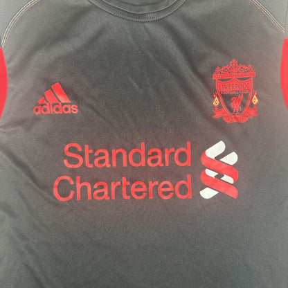 Liverpool 2010/2011 Training Football Shirt XL — front close-up