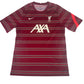 Liverpool 2021/2022 Pre Match Training Football Shirt Large – Football Shirt Kingdom