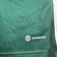 Northern Ireland 2022/2023/2024 Home Football Shirt Medium