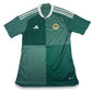 Northern Ireland 2022/2023/2024 Home Football Shirt Large – Football Shirt Kingdom