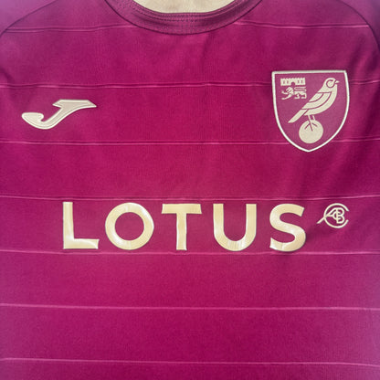 Norwich City 2022/2023 Away Football Shirt Small — front close-up