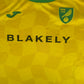Norwich City 2024/2025 Home Football Shirt 3XL XXXL – Football Shirt Kingdom